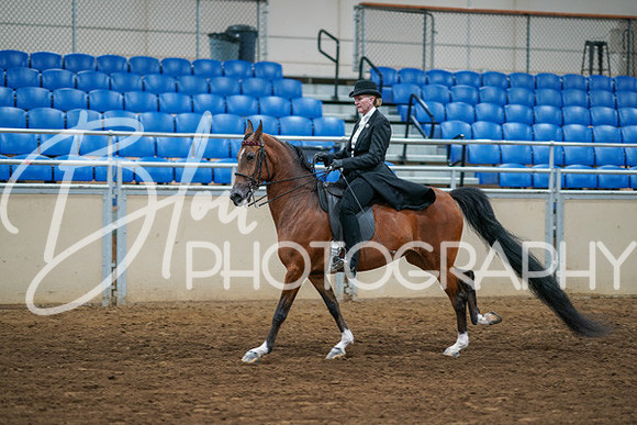 Aurora Show June 6, 2024  - 04774