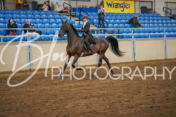 Aurora Show June 8, 2024  - 02570