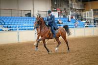 140 - HA/AA Country English Pleasure Open