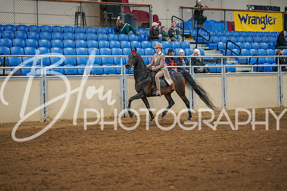 Aurora Show June 8, 2024  - 00975