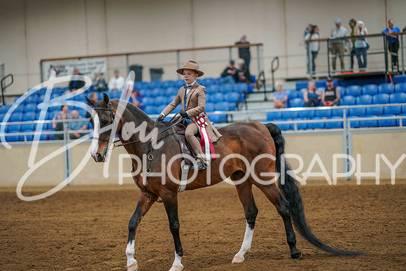 Aurora June 6, 2025 - 3328