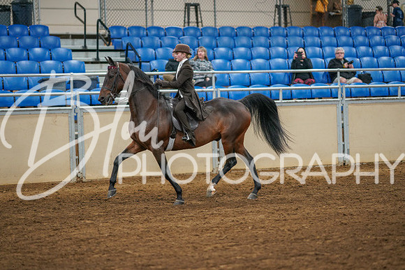Aurora Show June 8, 2024  - 02573
