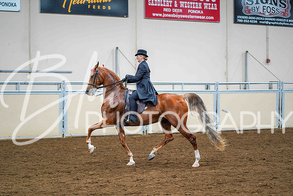 ACHS July 11, 2025 - 2013