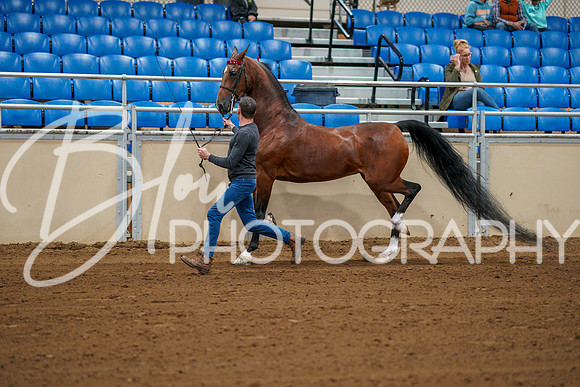 Fall Classic Sept 28, 2024 - 0092