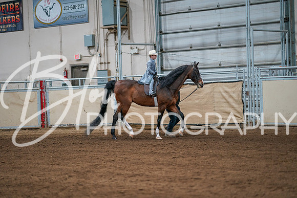 Aurora Show June 8, 2024  - 00906