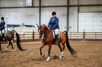 274 Region 17 Arabian Hunter Pl Choice/Elite Championship