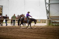 265B Region 17 HA/AA Ranch Horse Riding Jr Horse Championship