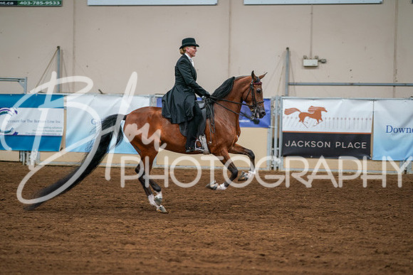 Aurora Show June 6, 2024  - 04791