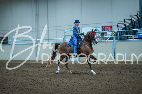 Aurora Show June 8, 2024  - 00376