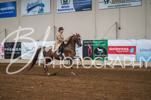 Aurora Show June 8, 2024  - 02591
