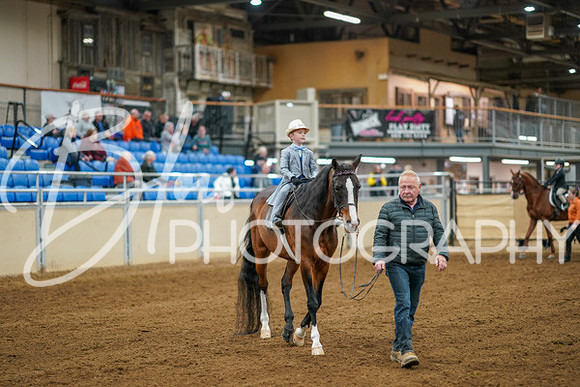 Aurora Show June 8, 2024  - 00867