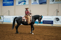 Aurora June 6, 2025 - 2012