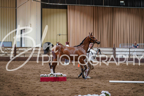 Region 17 July 9, 2025 - 2147