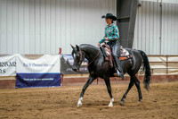 378 Region 17 Arabian Ranch Horse Rail Pleasure ATR Championship