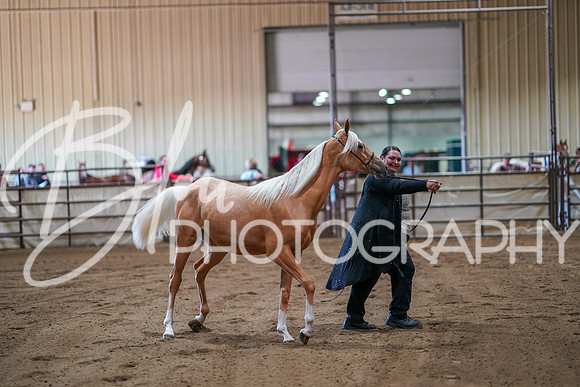 Region 17 June 28, 2024 - 04795