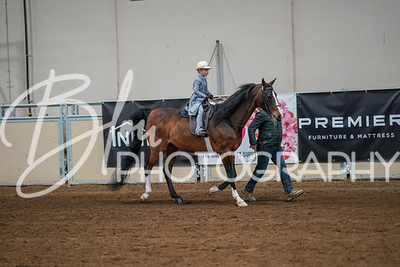 Aurora Show June 8, 2024  - 00912