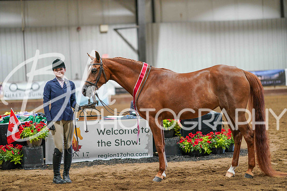 Region 17 July 11, 2025 - 1670