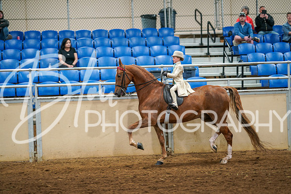 Aurora Show June 6, 2024  - 03875