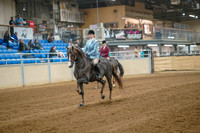 212a Morgan Hunter Pleasure Junior Rider
