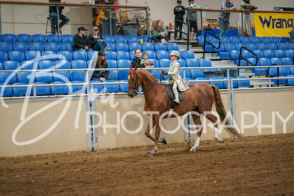 Aurora Show June 6, 2024  - 03868