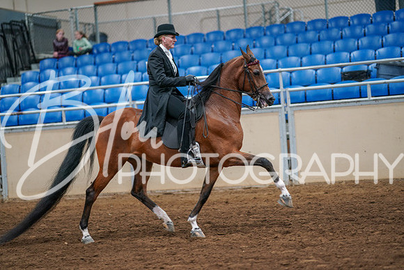 Aurora Show June 6, 2024  - 04840