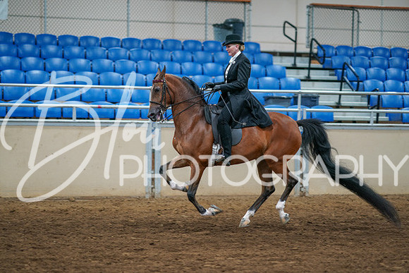 Aurora Show June 6, 2024  - 04775