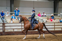 374 Region 17 HA/AA Country English Pleasure JOTR Championship