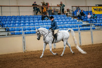 Aurora Show June 6, 2024  - 04204