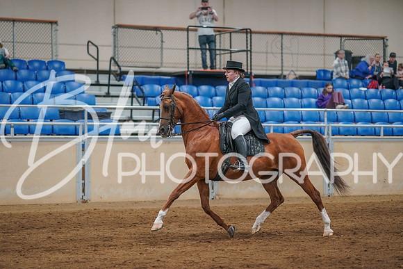 Aurora June 8, 2025 - 2548