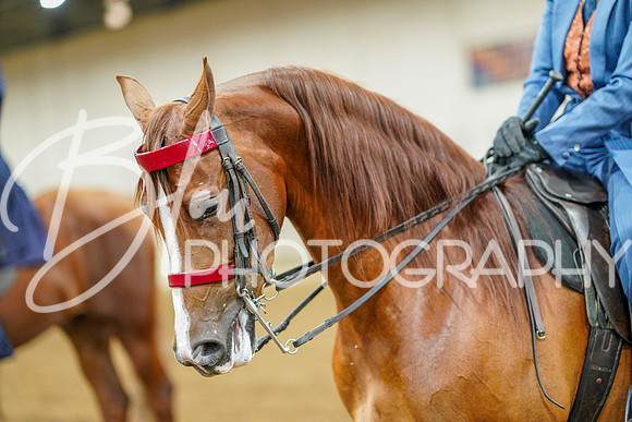 Fall Classic Sept 27, 2024 - 0259