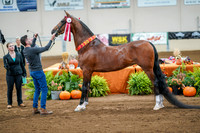 Fall Classic Sept 28, 2024 - 0270