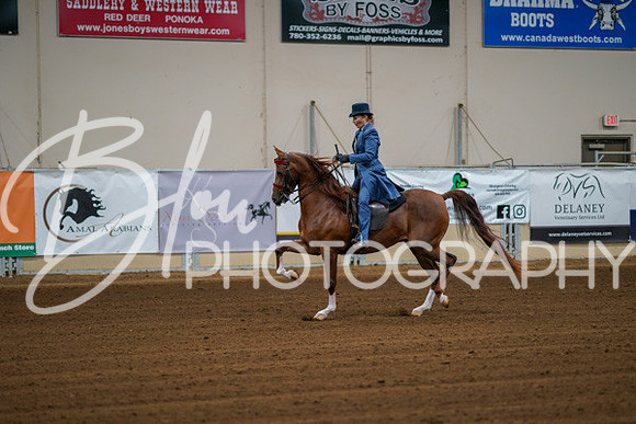 Aurora Show June 8, 2024  - 00362
