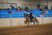 Aurora June 8, 2025 - 2443