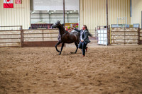 298 Region 17 Arabian Mare Breeding Championship