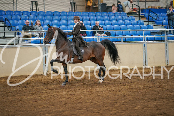 Aurora Show June 8, 2024  - 02571