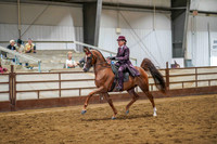 343 Region 17 Arabian Country English PleasureJunior Horse Championship