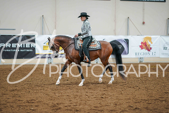Aurora June 6, 2025 - 1356