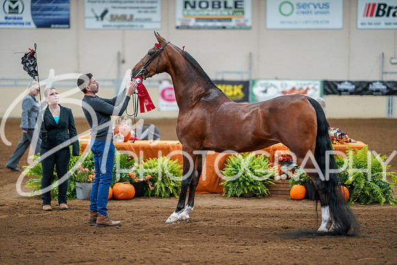 Fall Classic Sept 28, 2024 - 0137