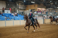 Aurora June 8, 2025 - 2255