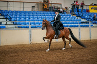 Aurora Show June 6, 2024  - 04764