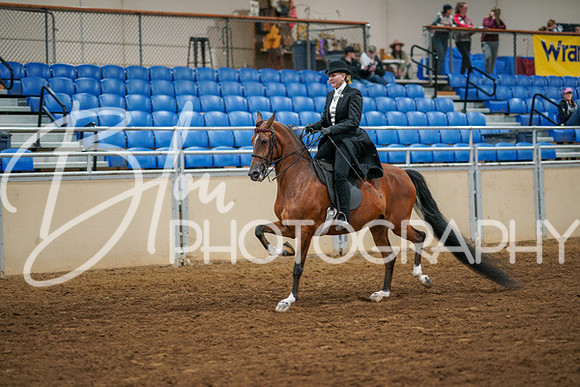 Aurora Show June 6, 2024  - 04764
