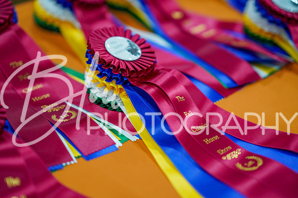 Fall Classic Sept 27, 2024 - 0005