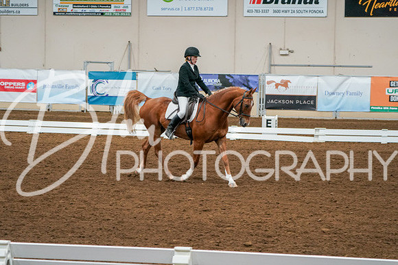 Aurora Show June 6, 2024  - 00989