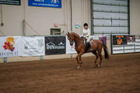 264 AMERICAN SADDLEBRED Hunter Country Stake