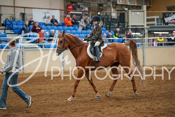 Aurora Show June 8, 2024  - 00886