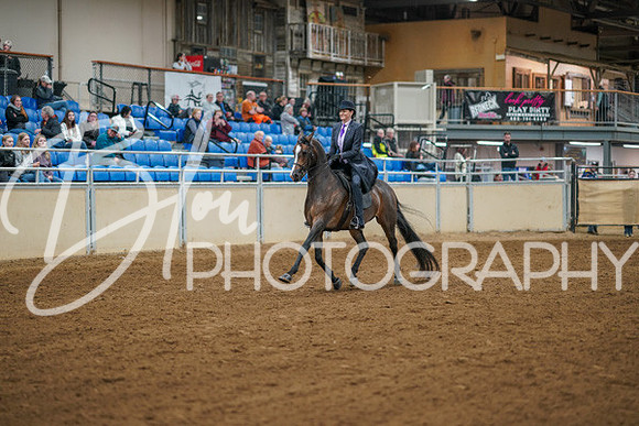 Aurora Show June 8, 2024  - 00980