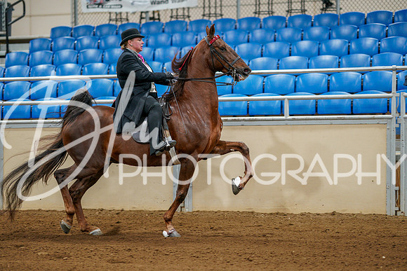 Fall Classic Sept 27, 2024 - 0079
