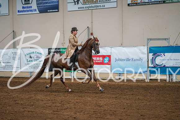Aurora Show June 8, 2024  - 02594