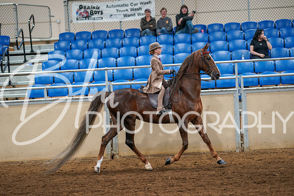 Aurora Show June 6, 2024  - 03898