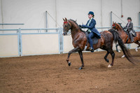 94 ASB ENGLISH COUNTRY PLEASURE, STAKE